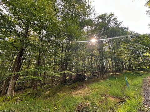 Lots/Land, Terra Alta, WV