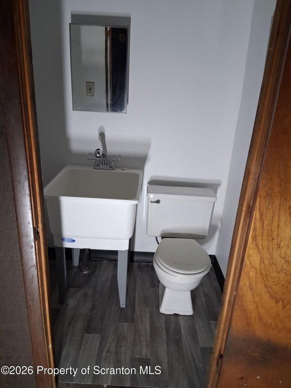 Picture 15