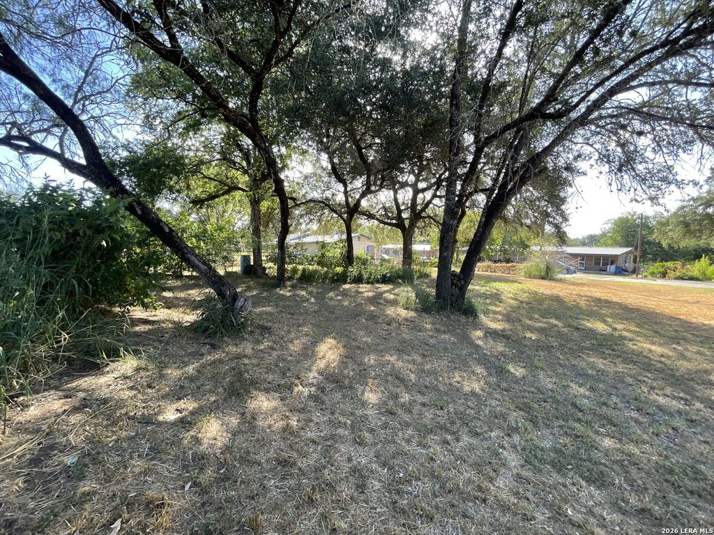 Picture 7