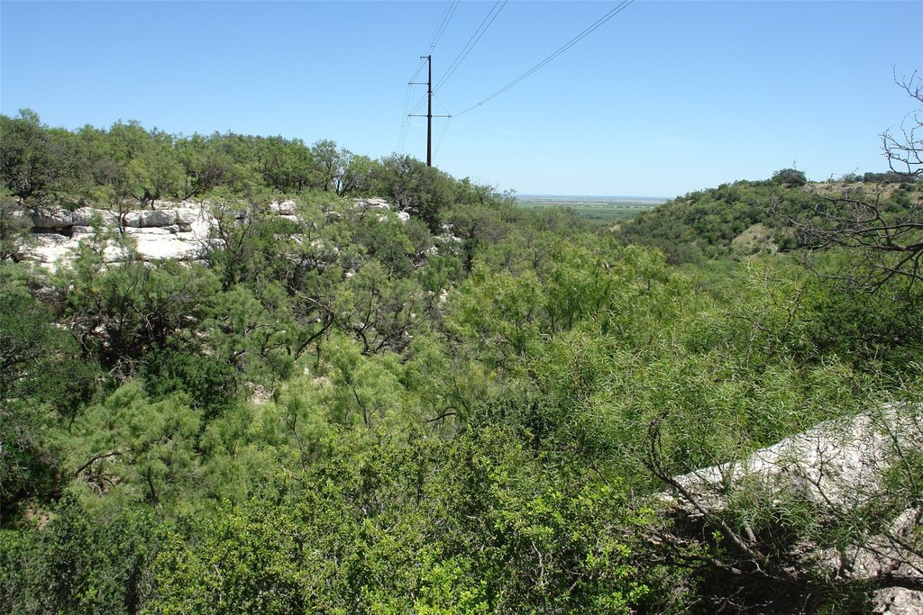 Picture 16