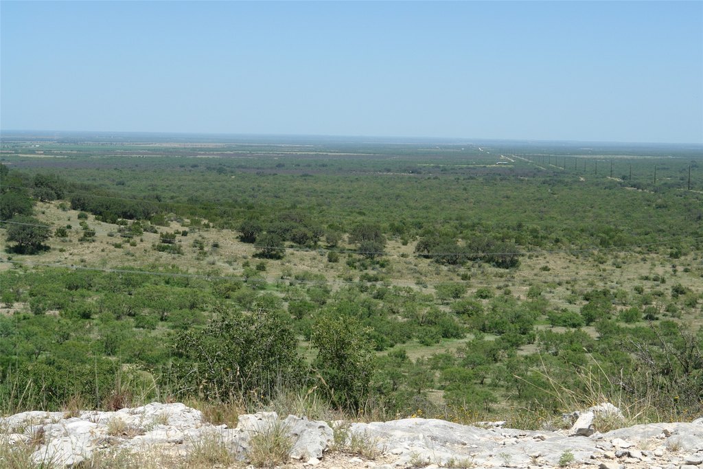 Picture 11