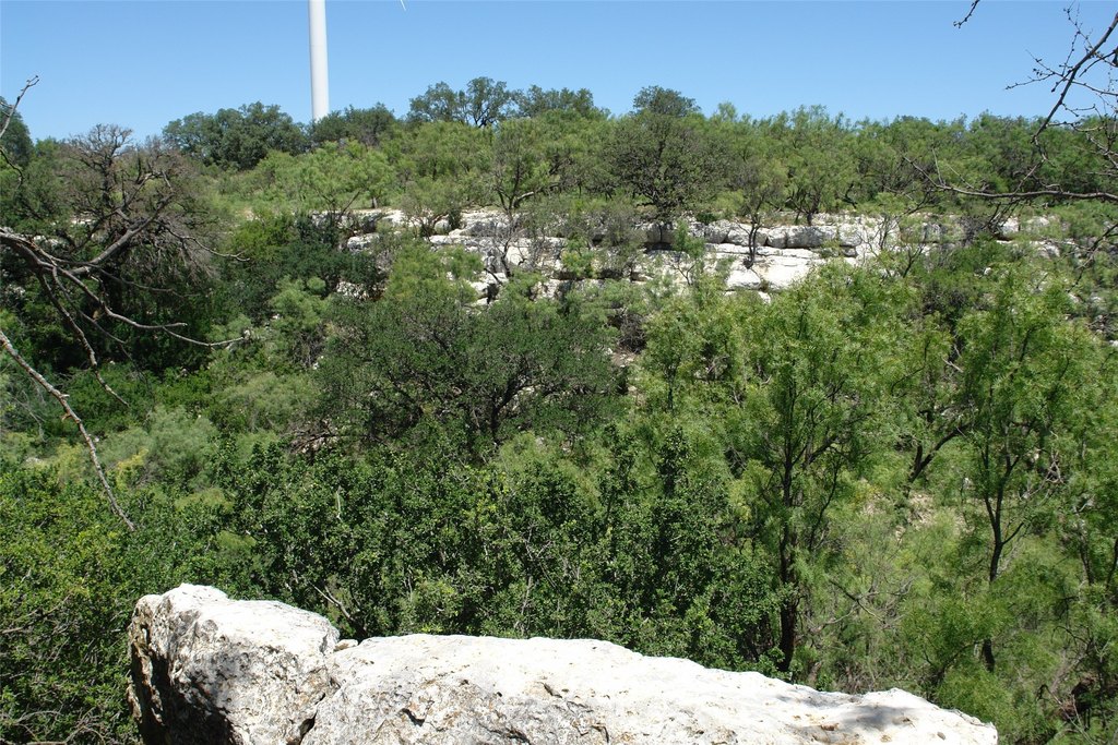 Picture 15