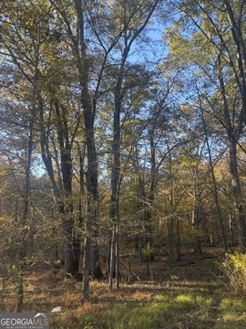 5 Acres in Wilkes County