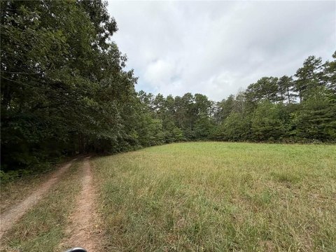 Land, Tobaccoville, NC