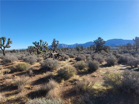 Land, Meadview, AZ