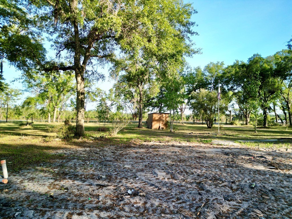 Picture 25