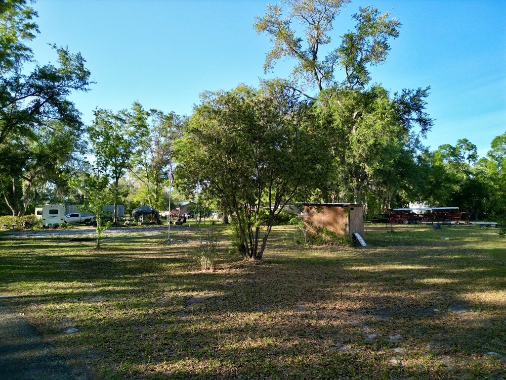 Picture 21