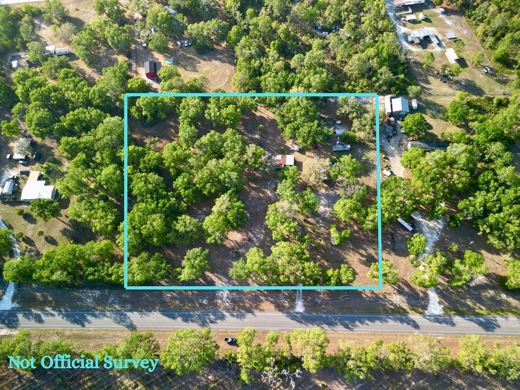 Picture 3
