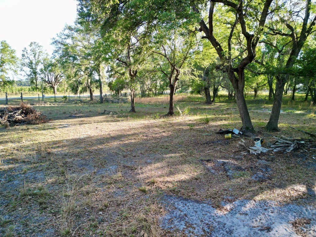 Picture 19