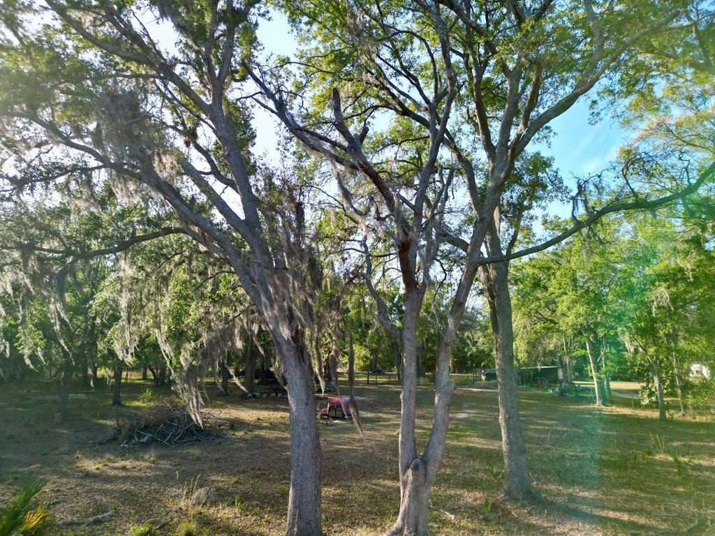 Picture 18