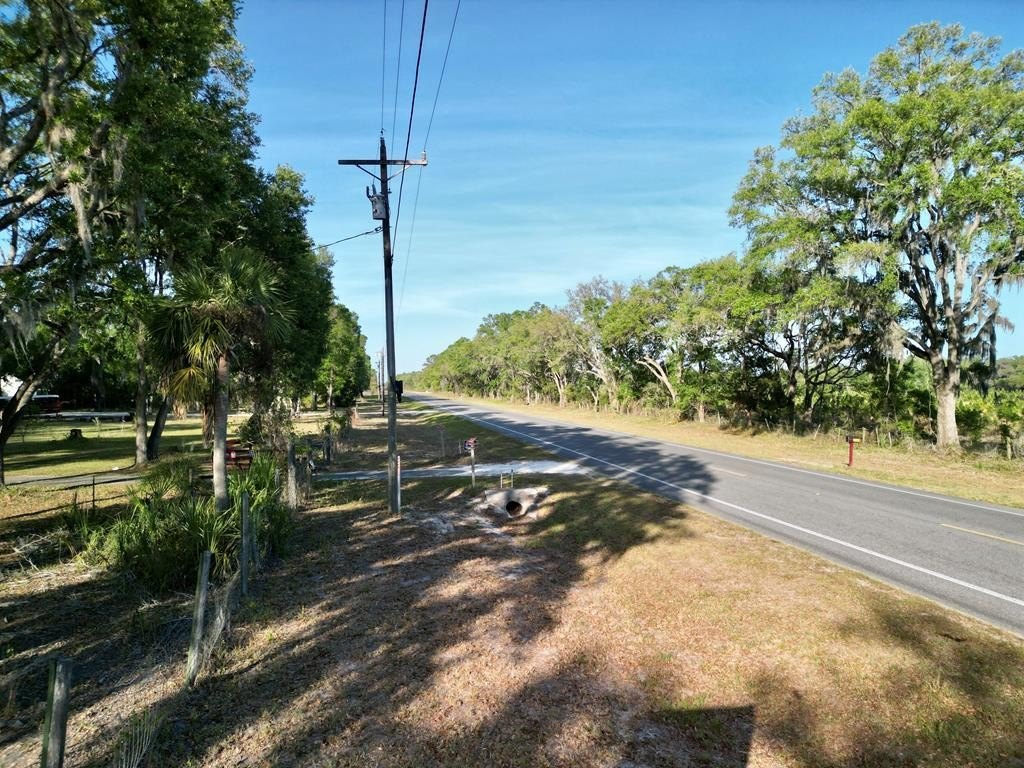 Picture 5