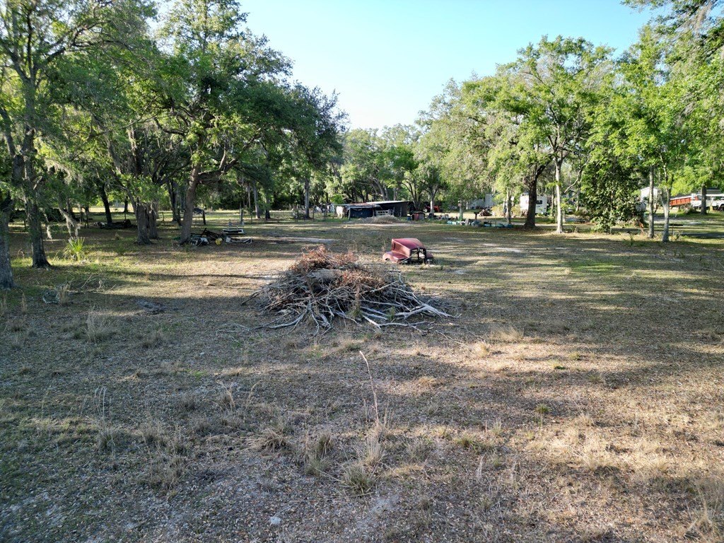 Picture 13