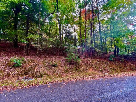 Paved-Access Residential Land Lot