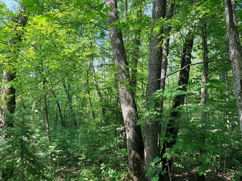 Picture 25