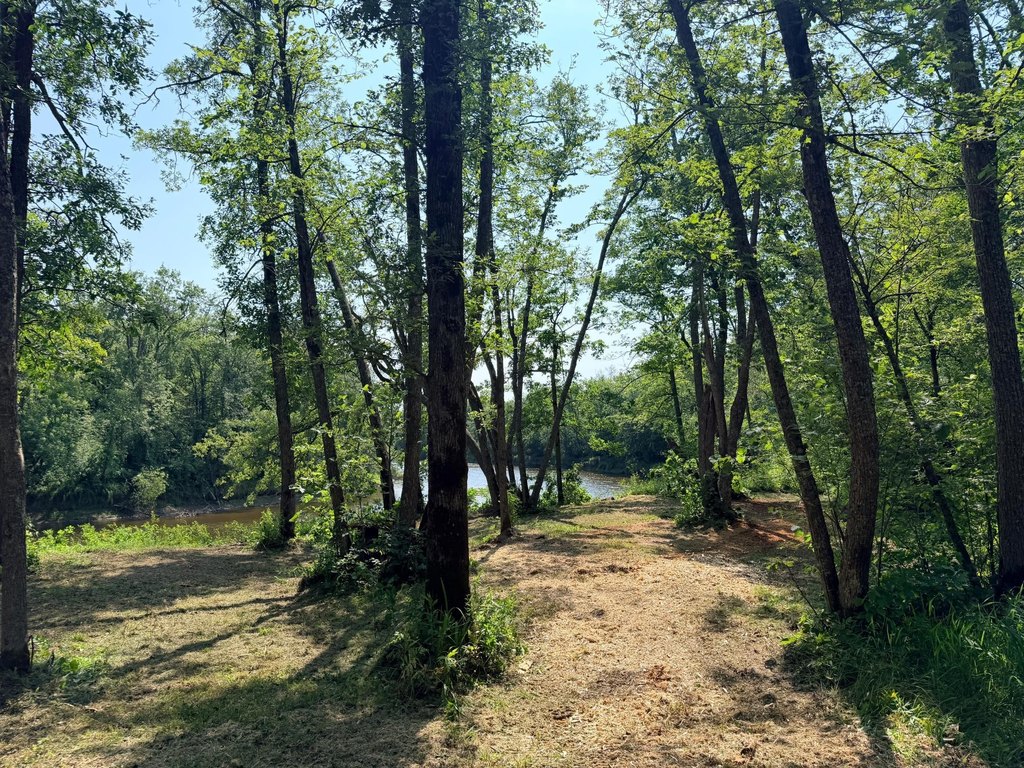 Picture 29