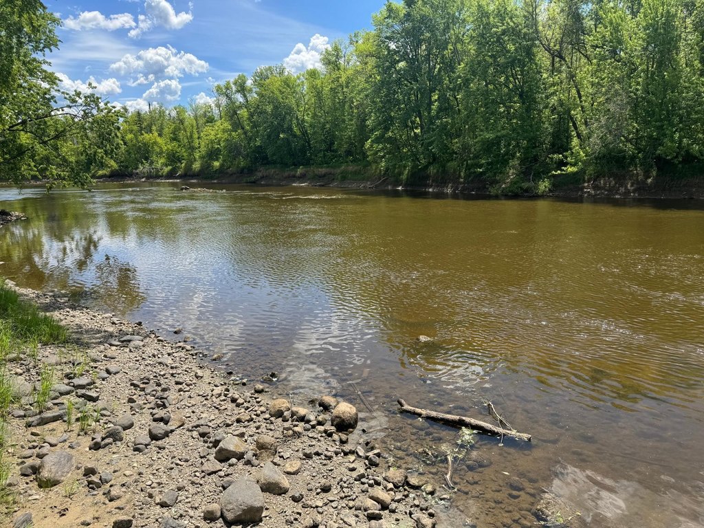 Picture 68