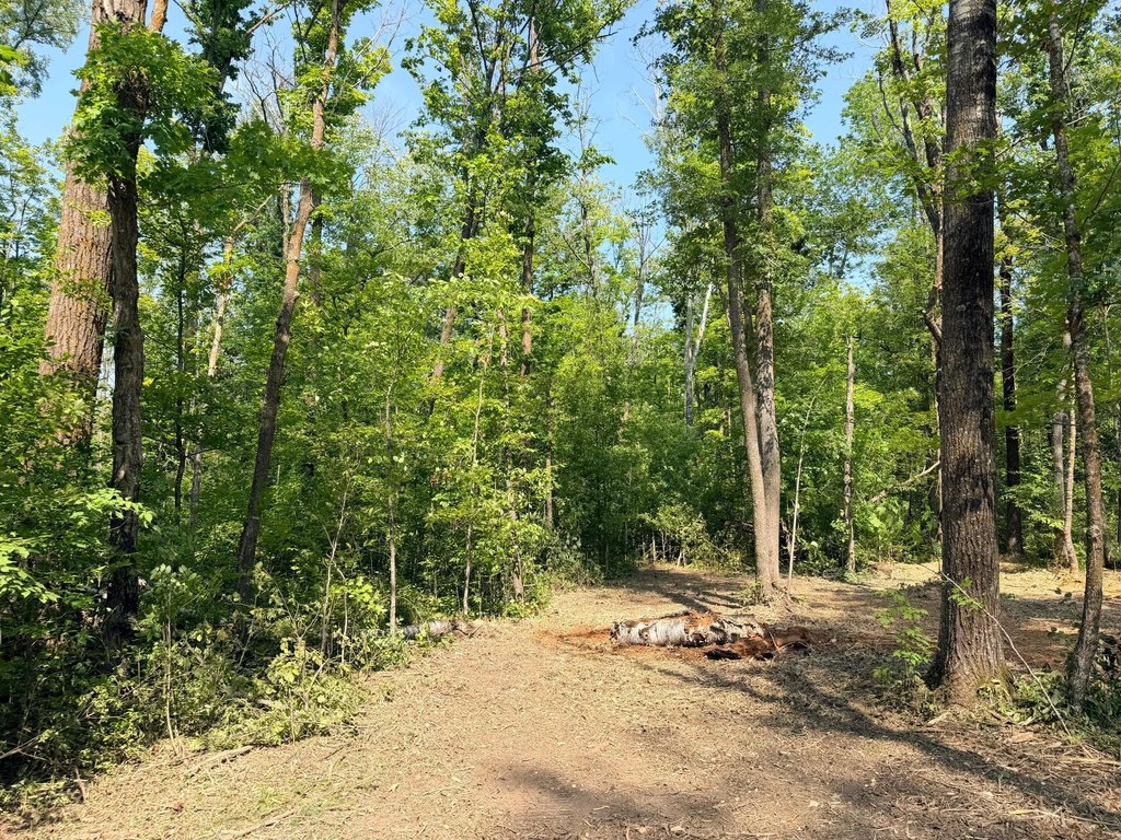Picture 16