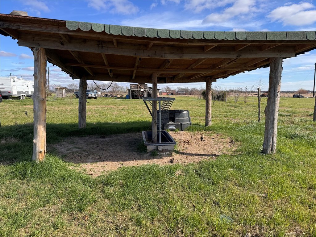 Picture 19