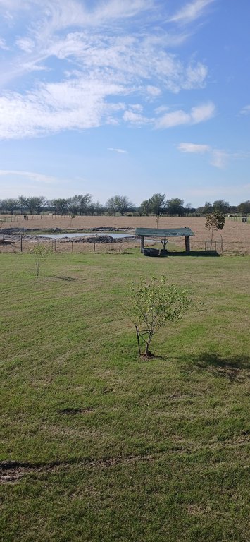 Picture 22