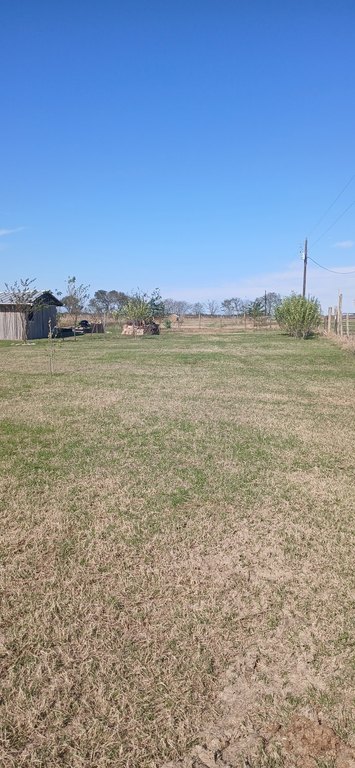 Picture 25