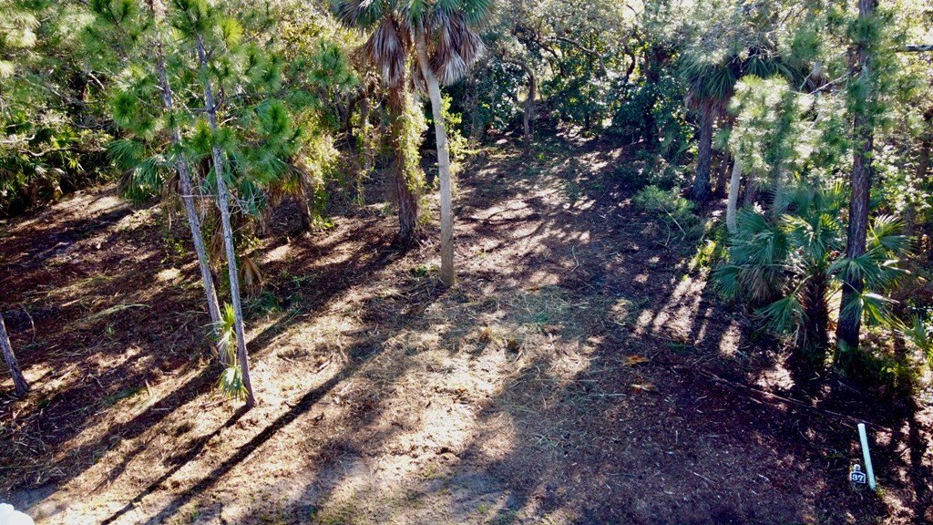 Picture 6