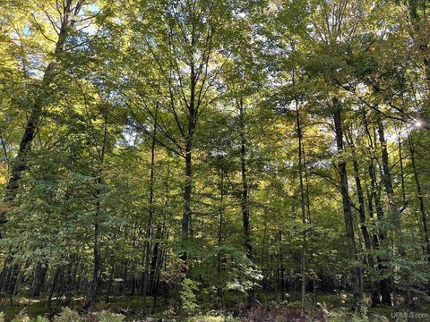 VACANT LAND, Long Lake, WI