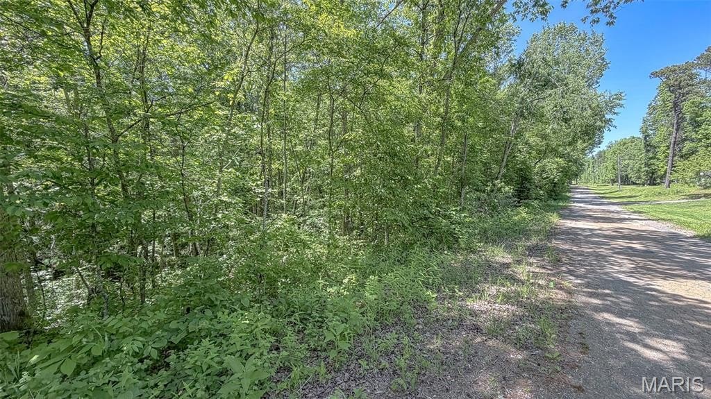 Picture 5