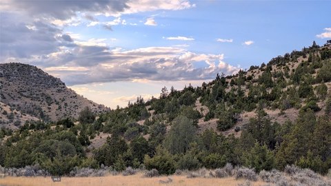 Hunting Land Acreage