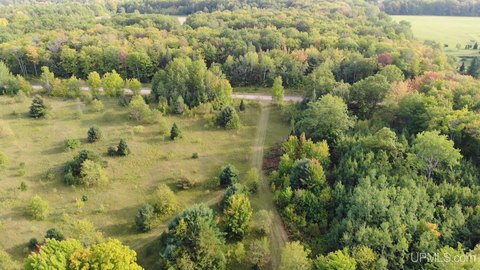 Chassell Land with Diverse Forest