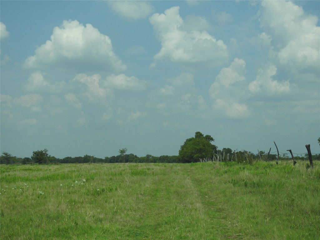 Picture 13