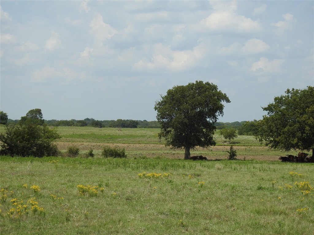 Picture 8