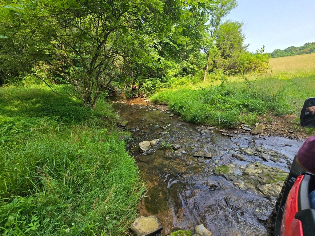 Picture 33