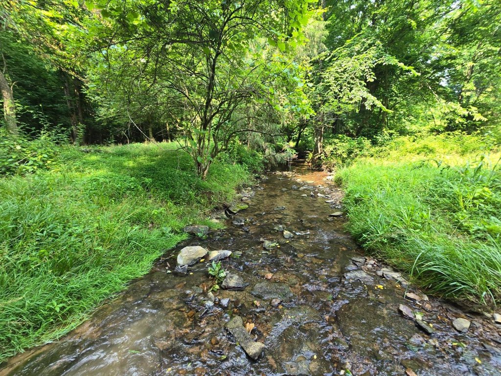 Picture 31