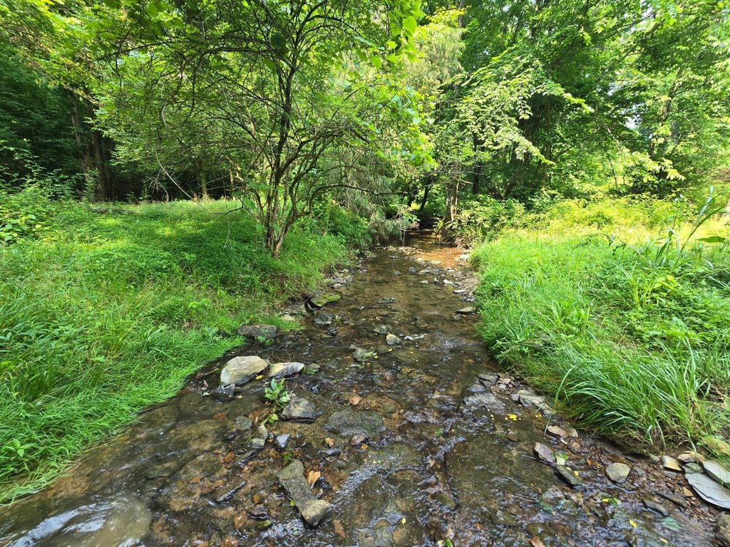 Picture 29