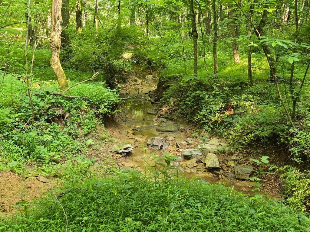 Picture 40