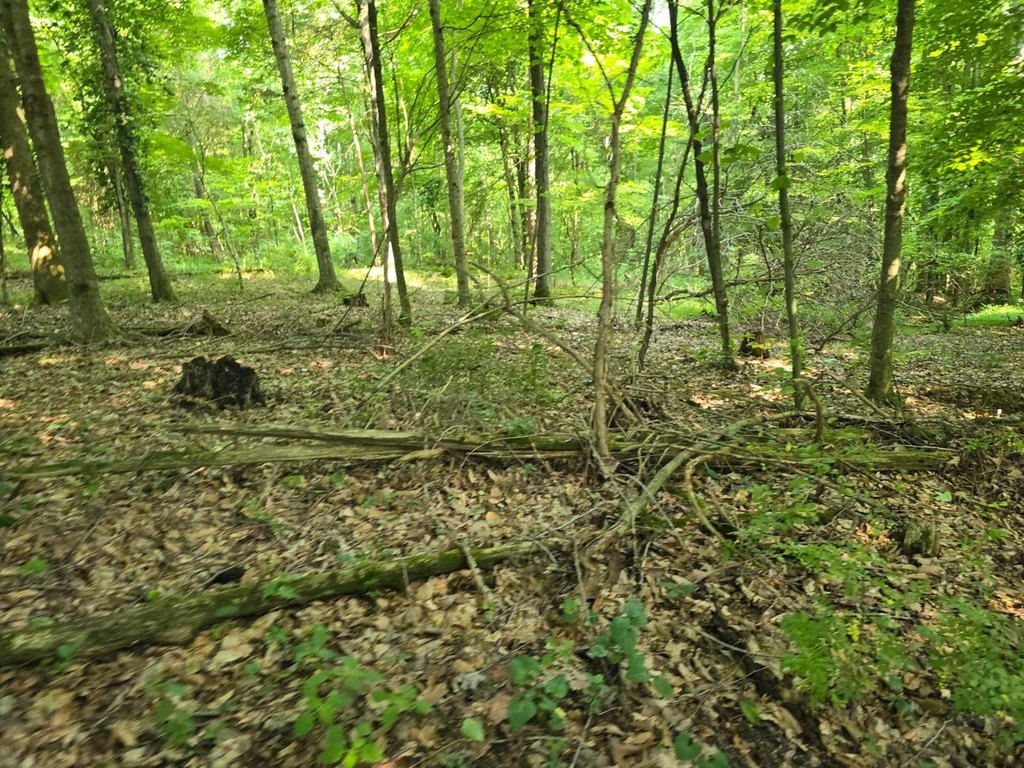 Picture 24