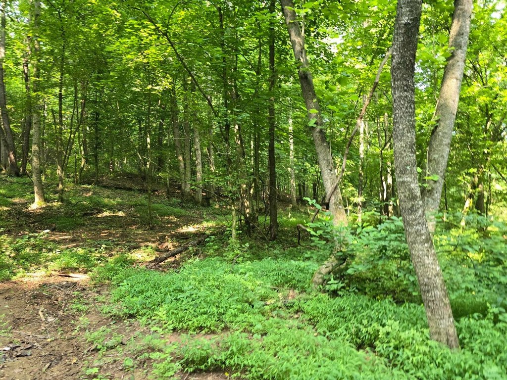 Picture 23