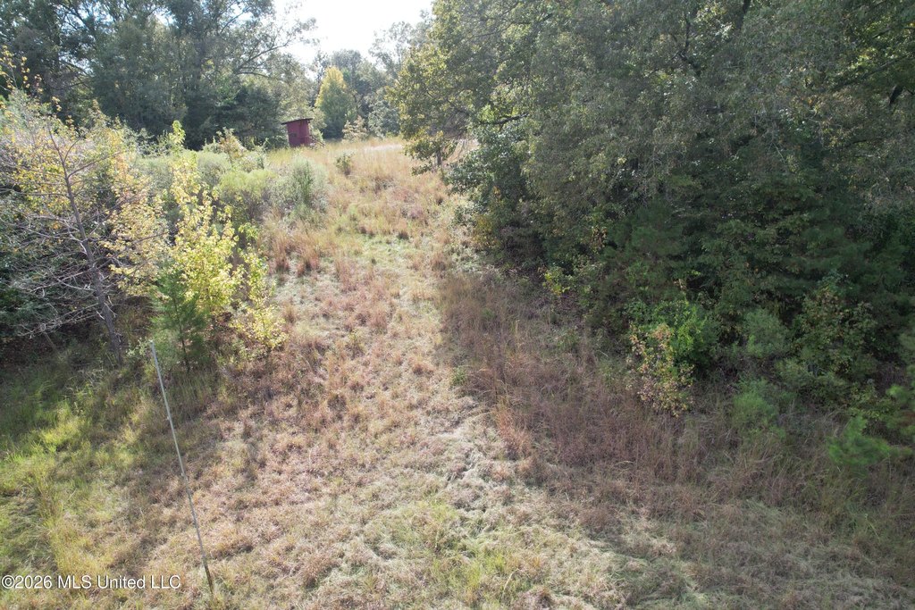 Picture 28
