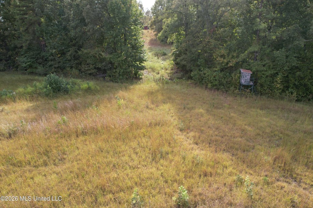 Picture 26