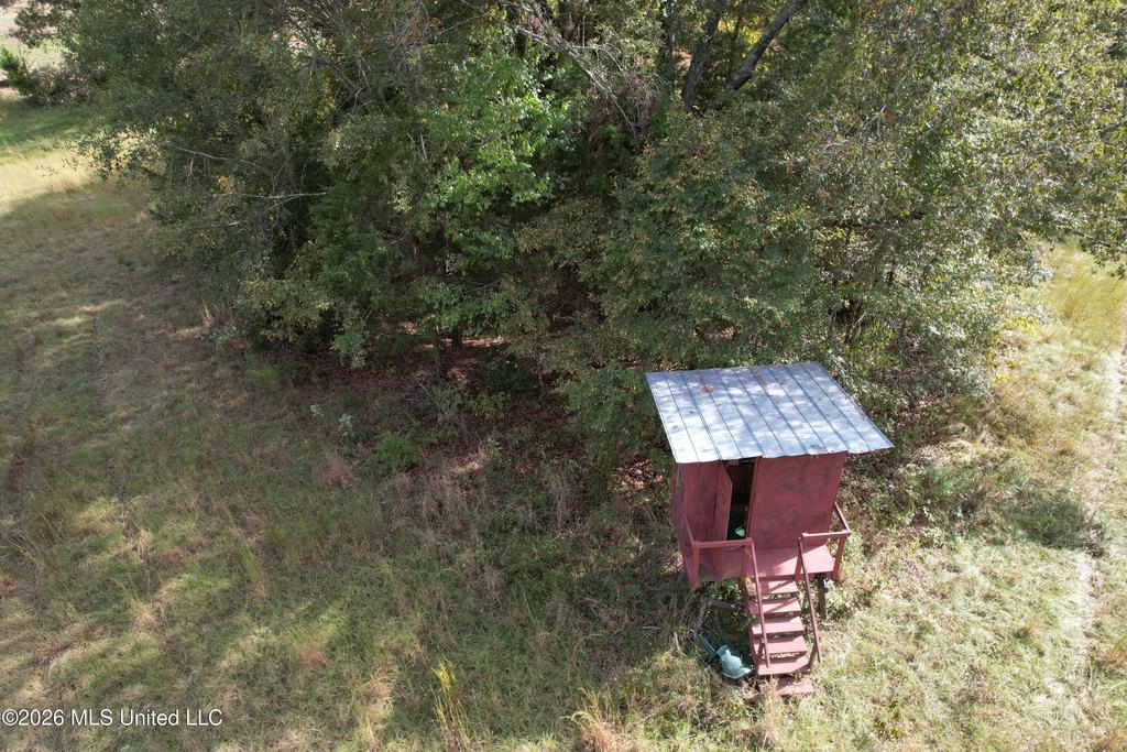 Picture 10