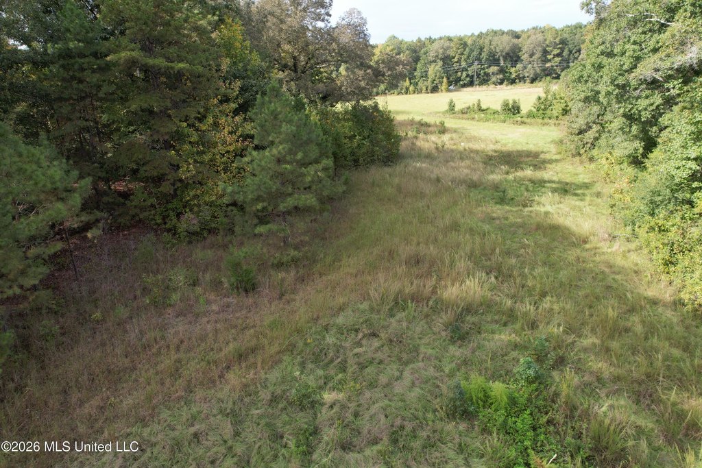 Picture 29