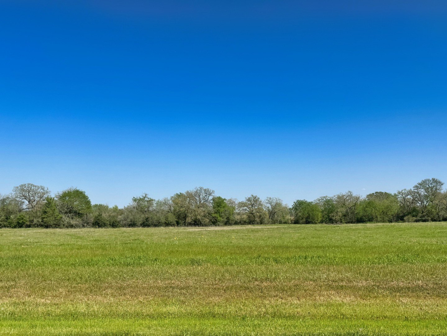 Land in Iola, Texas