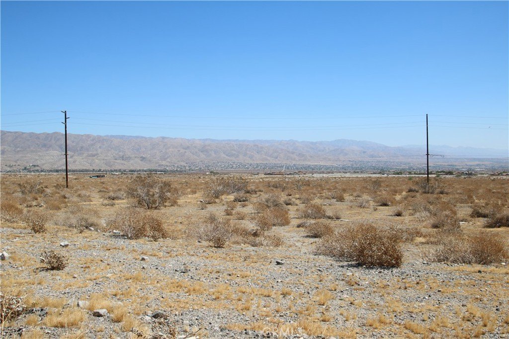 Picture 6