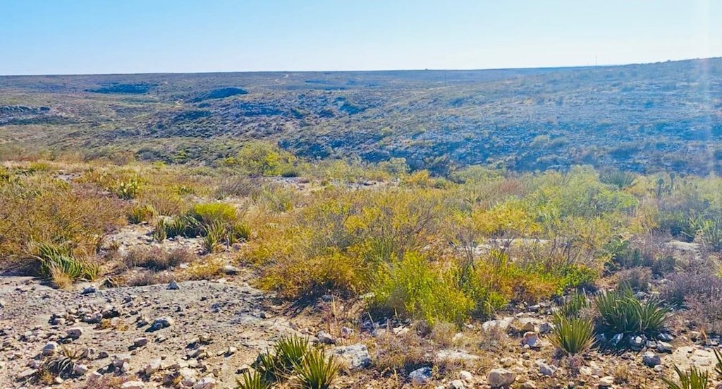 Picture 3