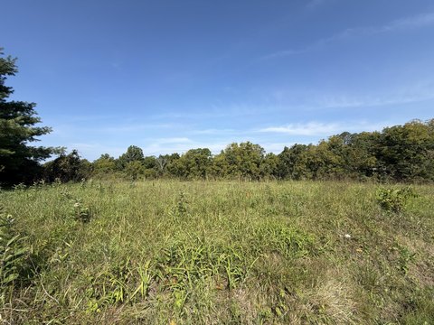 Land, Falmouth, KY