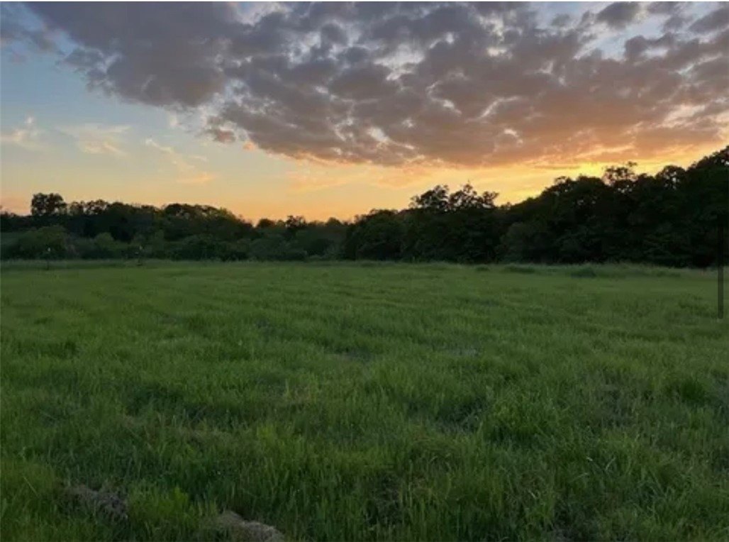 Bentonville Acreage: Estate or Development