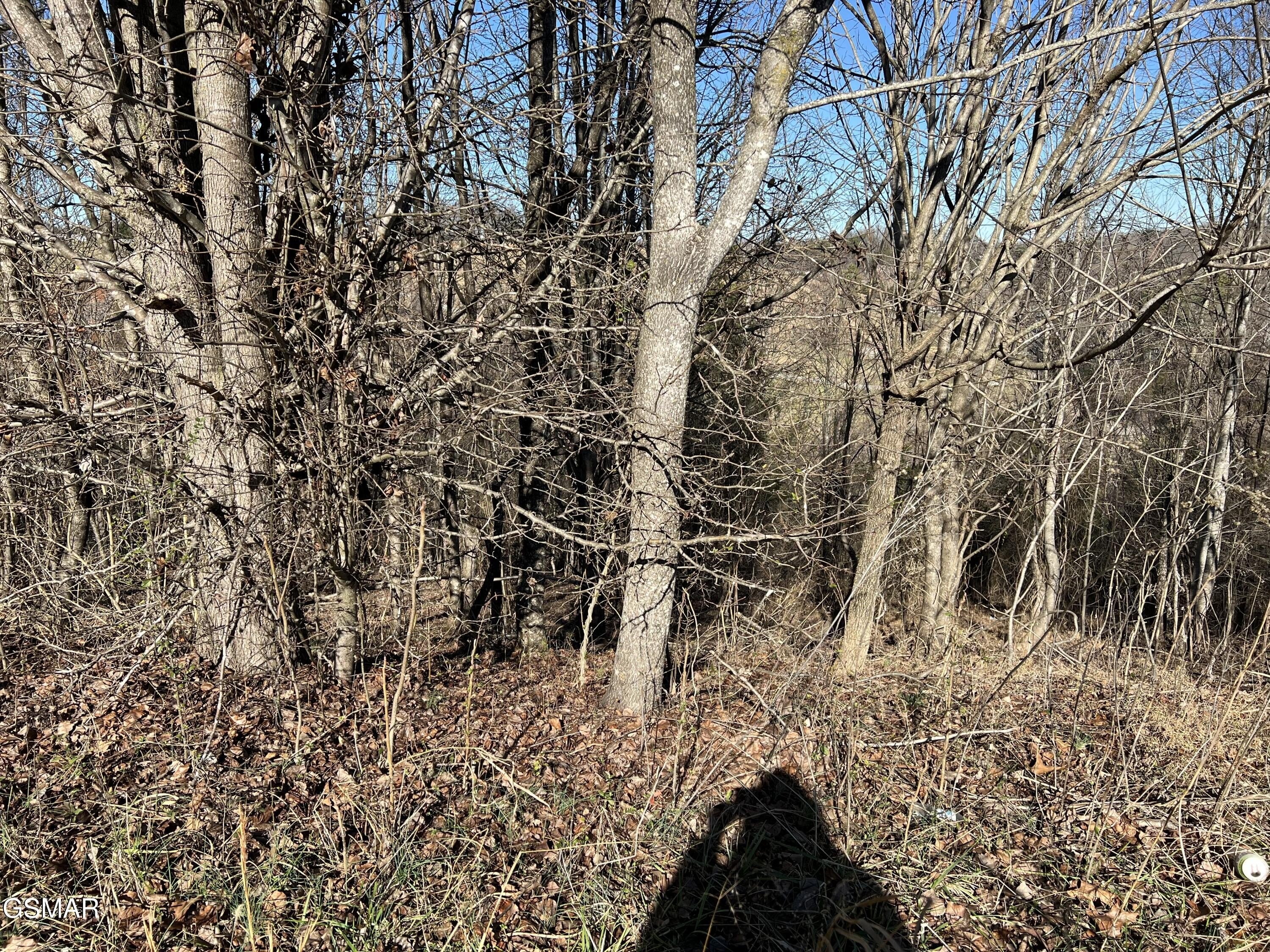 Residential Lot Near Bass Pro