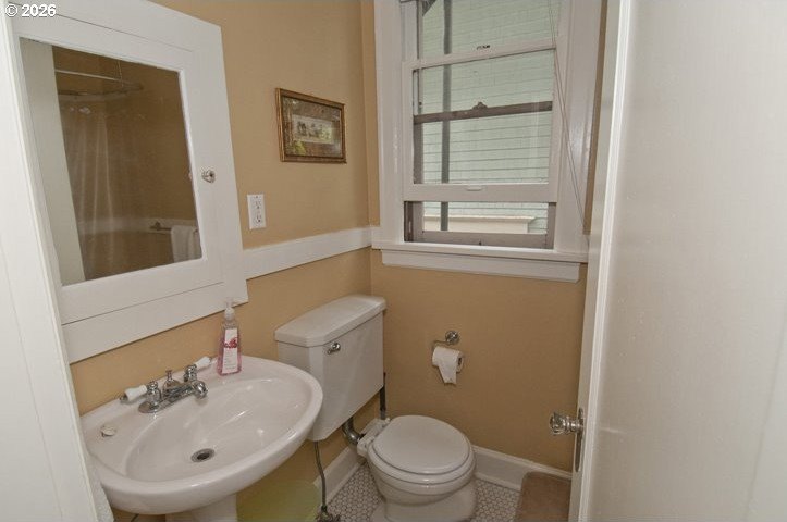 Picture 5