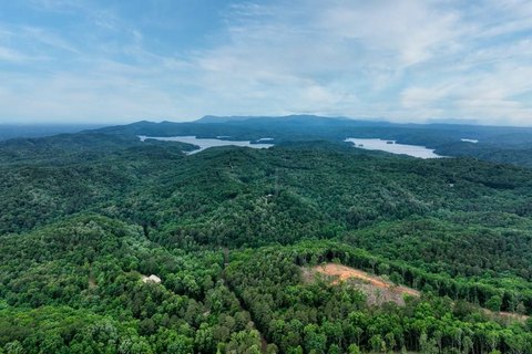 Hunting Land with Year-Round Creek