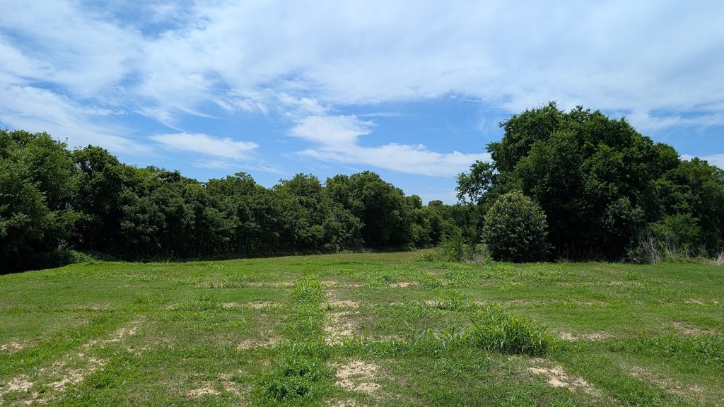 Picture 3